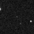 2021rlv_image