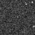 2021rlx_image