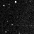 2021roe_image