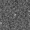 2021rsh_image