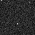 2021rsq_image