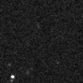 2021rtd_image