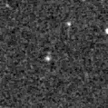 2021rug_image