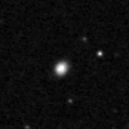 2021ruo_image
