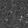 2021rwi_image