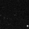 2021rye_image