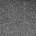 2021scc_image