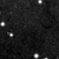 2021scd_image