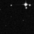 2021sdw_image