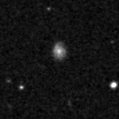 2021sfg_image