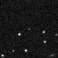 2021sfl_image