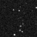 2021sfq_image