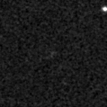 2021sh_image