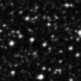 2021shj_image