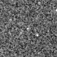 2021slj_image