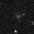 2021smz_image