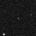 2021sp_image