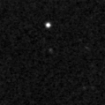 2021spp_image