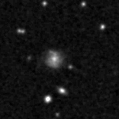 2021spw_image