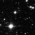 2021stg_image