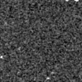 2021suw_image