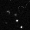 2021sv_image