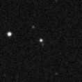 2021svk_image
