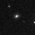 2021swd_image
