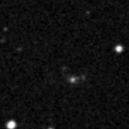 2021sz_image