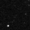 2021tan_image