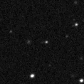 2021tas_image