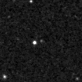 2021taz_image
