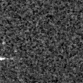 2021tdb_image