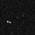 2021tex_image