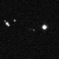 2021tlj_image