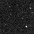2021tnp_image
