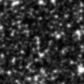 2021tok_image