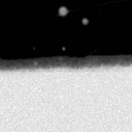 2021tph_image