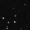 2021trw_image