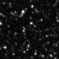 2021tsh_image