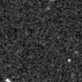 2021u_image