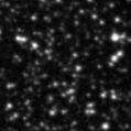 2021uku_image