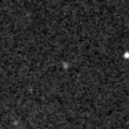 2021umq_image