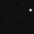 2021usg_image