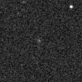 2021vbt_image