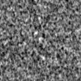 2021vga_image