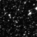 2021vmf_image