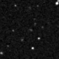 2021vnp_image