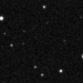 2021vnt_image