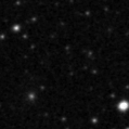 2021vpw_image